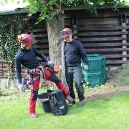 baumfaeller121 - Der Baum muss weg – Kletterer am Werk