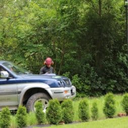 baumfaeller471 - Der Baum muss weg – Kletterer am Werk