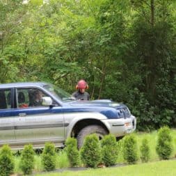 baumfaeller481 - Der Baum muss weg – Kletterer am Werk