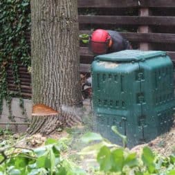 baumfaeller60 - Der Baum muss weg – Kletterer am Werk