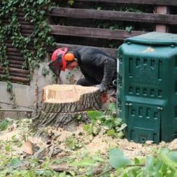 baumfaeller76 - Der Baum muss weg – Kletterer am Werk