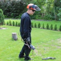 baumfaeller8 - Der Baum muss weg – Kletterer am Werk