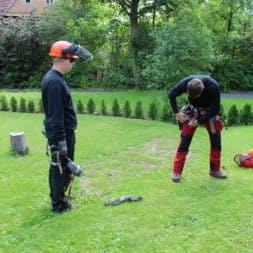 baumfaeller91 - Der Baum muss weg – Kletterer am Werk