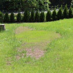erde sieben rasen ausgleichen und anlegen update 2 - Neuen Rasen anlegen und Abdecksteine auf die Gartenmauern aufbringen