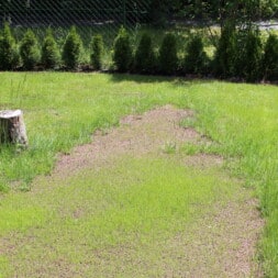 erde sieben rasen ausgleichen und anlegen update 3 - Neuen Rasen anlegen und Abdecksteine auf die Gartenmauern aufbringen
