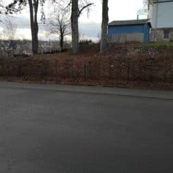 Hainbuchenhecke im Winter4 - Einfriedung durch Hainbuchenhecke und Zaun an der Straße