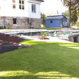 palme und neuer rasen am pool 18 1 scaled - Poolterrasse selber bauen - Platz schaffen für den neuen Rasen
