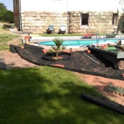 winterharte palmen an den pool pflanzen 10 - Palmen für den Pool - Urlaubsstimmung im eigenen Garten