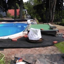 winterharte palmen an den pool pflanzen 11 - Palmen für den Pool - Urlaubsstimmung im eigenen Garten