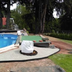 winterharte palmen an den pool pflanzen 13 - Palmen für den Pool - Urlaubsstimmung im eigenen Garten
