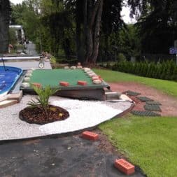 winterharte palmen an den pool pflanzen 15 - Palmen für den Pool - Urlaubsstimmung im eigenen Garten