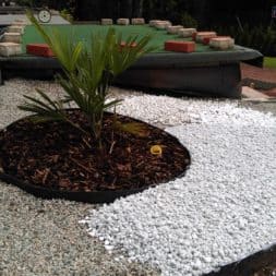 winterharte palmen an den pool pflanzen 17 - Palmen für den Pool - Urlaubsstimmung im eigenen Garten