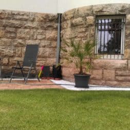 winterharte palmen an den pool pflanzen 28 - Palmen für den Pool - Urlaubsstimmung im eigenen Garten