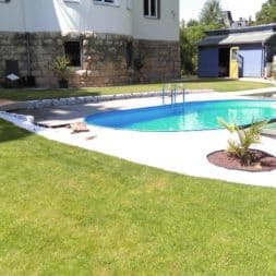 winterharte palmen an den pool pflanzen 33 - Palmen für den Pool - Urlaubsstimmung im eigenen Garten