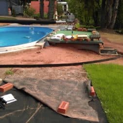 winterharte palmen an den pool pflanzen 5 - Palmen für den Pool - Urlaubsstimmung im eigenen Garten