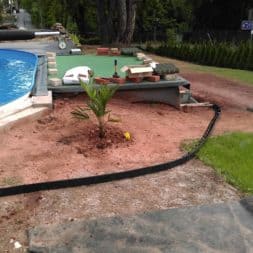 winterharte palmen an den pool pflanzen 6 - Palmen für den Pool - Urlaubsstimmung im eigenen Garten