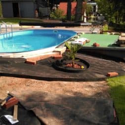 winterharte palmen an den pool pflanzen 8 - Palmen für den Pool - Urlaubsstimmung im eigenen Garten