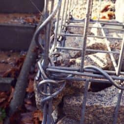 Gabionenmauer am Hang ausbauen und erweitern www.commaik.de 1.1.21 - Expand and extend gabion wall on slope | slope stabilization | raised bed