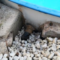 Luftblasen unter Poolfolie 4 - Pool Umbau - Rückbau vom Stahlwandpool