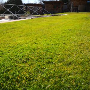 Rasen im Frühjahr für die Gartensaison vorbereiten commaik