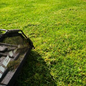 Rasen im Frühjahr für die Gartensaison vorbereiten commaik