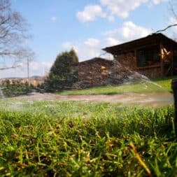Rasen nach dem winter fit machen maehen vertikutieren duengen rasenbewaesserung commaik.de 55 - Prepare your lawn in spring for the gardening season