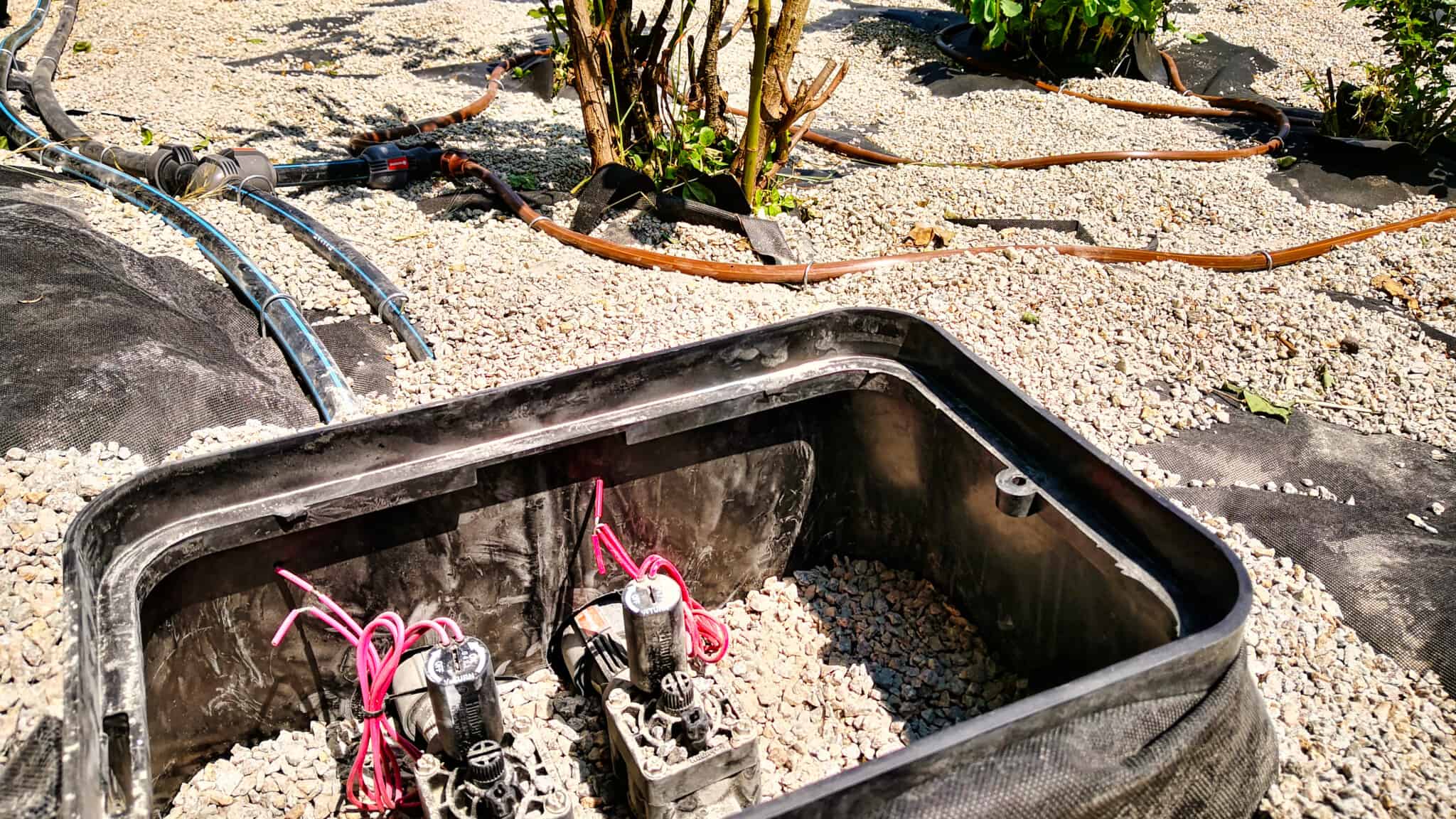 Zierbeet mit automatischer Rain Bird Tropfrohr Bewässerung selber bauen