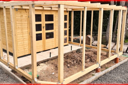 Build your own garden aviary with outdoor enclosure a1