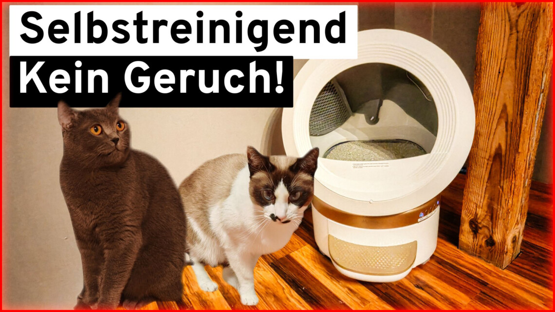 Smart Home 1 Two cats sit on a wooden floor next to a modern, automatic litter box. German text above them reads: Selbstreinigend Kein Geruch! meaning Self-cleaning, odor free!. www.commaik.de