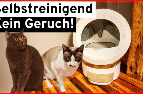 MOVA LR10 Prime: Automatic litter box in test - Self-cleaning litter box without odor Two cats sit on a wooden floor next to a modern, automatic litter box. German text above them reads: Selbstreinigend Kein Geruch! meaning Self-cleaning, odor free!. www.commaik.de