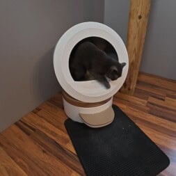 Automatic litter box test: Self-cleaning litter box without odor - Mova LR10 12 A gray cat is stepping out of a white litter box onto a textured black mat in a room with wooden floors and gray walls. A radiator and a green watering can are visible in the background. www.commaik.de