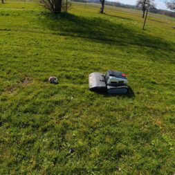 Lymow One Plus in test: RTK robot mower for large areas & difficult terrain 38 A Lymow One Plus robotic lawnmower and a small ball are on a large, grassy field under a blue sky with scattered clouds. Trees and fences can be seen in the background. www.commaik.de