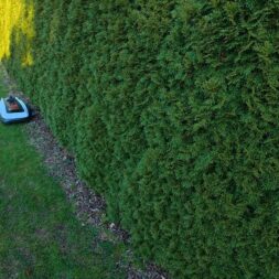 ECOVACS GOAT O1200 LiDAR PRO Review: Perfect Edge Mowing Without Any Touch-Ups? 50 A person points to an Ecovacs Goat robotic lawn mower as it moves along the edge of a green hedge on a sunny day. www.commaik.de
